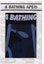 Order BAPE Color Camo Trunks Navy
