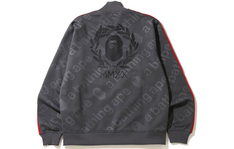 BAPE Line Sleeve Jersey Top Logo Full Print Zip Jacket Grey Blue 1G30-113-006