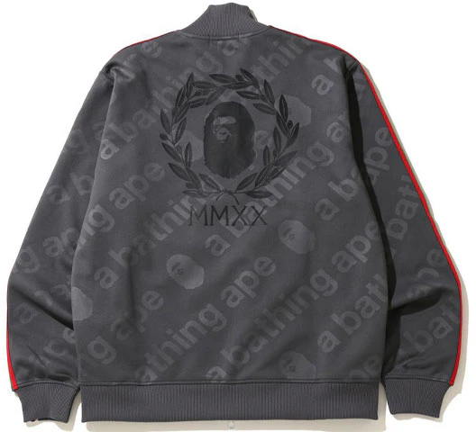 bape-line-sleeve-jersey-top-logo-full-print-zip-jacket-grey-blue-1-g30-113-006