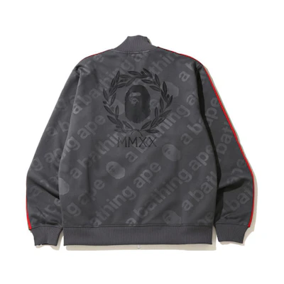 BAPE Line Sleeve Jersey Top Logo Full Print Zip Jacket Grey Blue 1G30-113-006