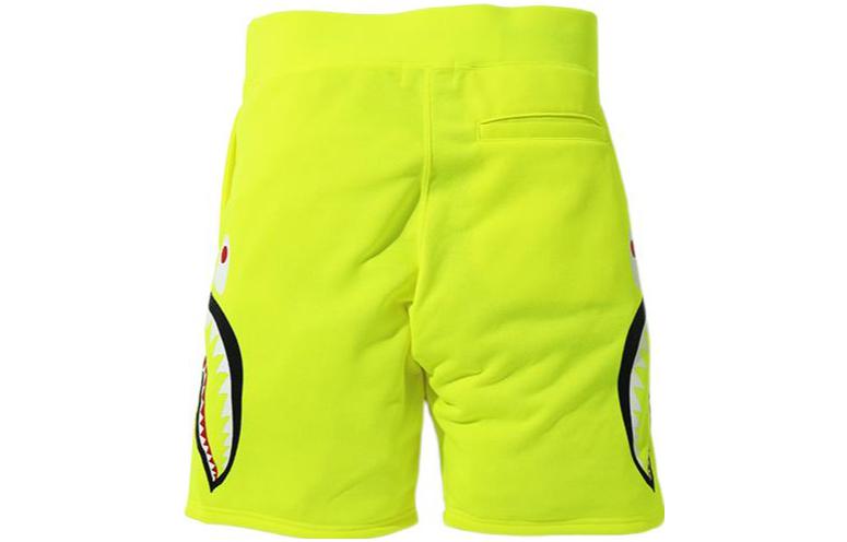 Purchase BAPE 鯊魚圖案休閒短褲. 0ZXSPM153010E