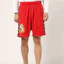 Sizing BAPE Tiger Wide Jersey Shorts Unisex. 1G30-153-017