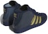 Blondey McCoy x adidas Pro Model ADV 'Night Indigo' Malam靛蓝 IG0845
