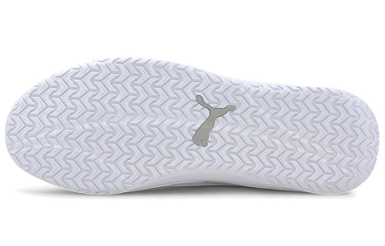 Purchase BMW MMS x Puma DC Future ''Wit'' 306523-02