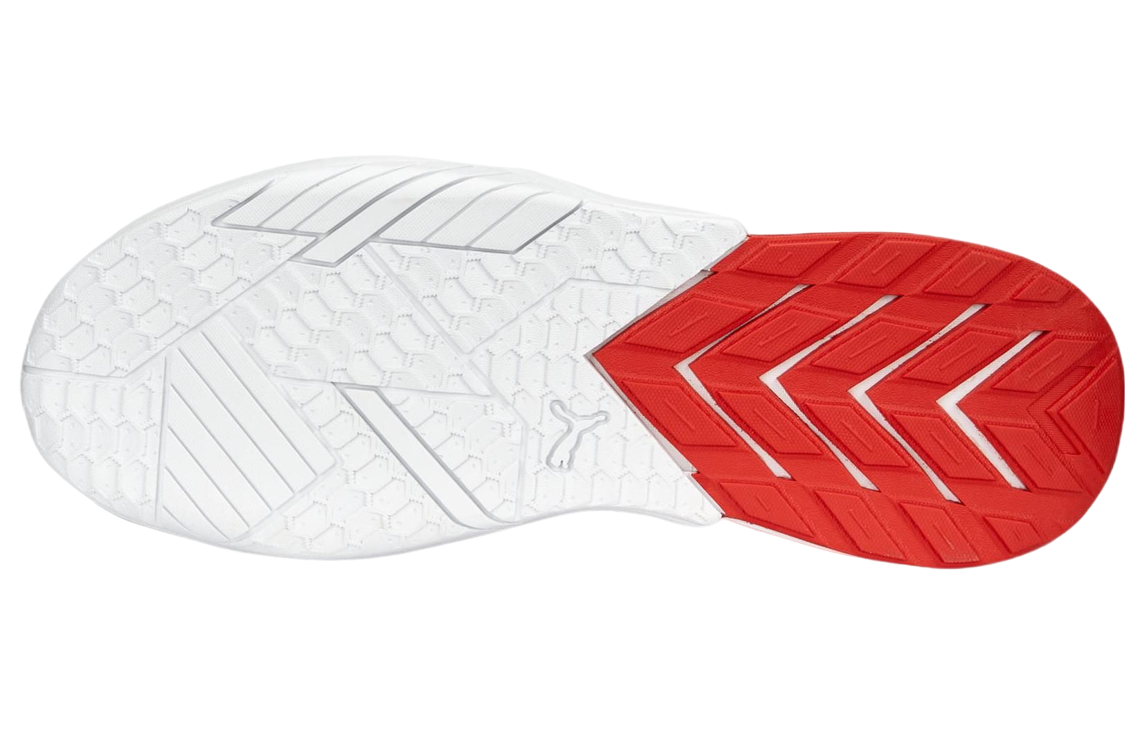 Details for BMW Motorsport x Puma Maco SL ''Blanc Cool Cobalt'' 307491-02