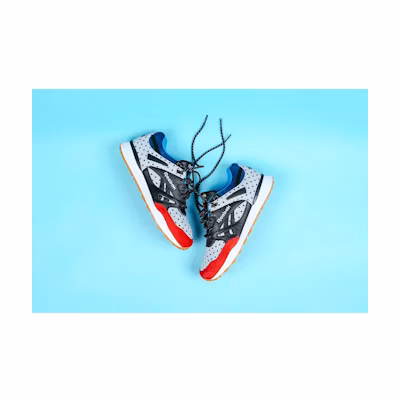 Bodega Reebok Ventilator 'Terry Blay'