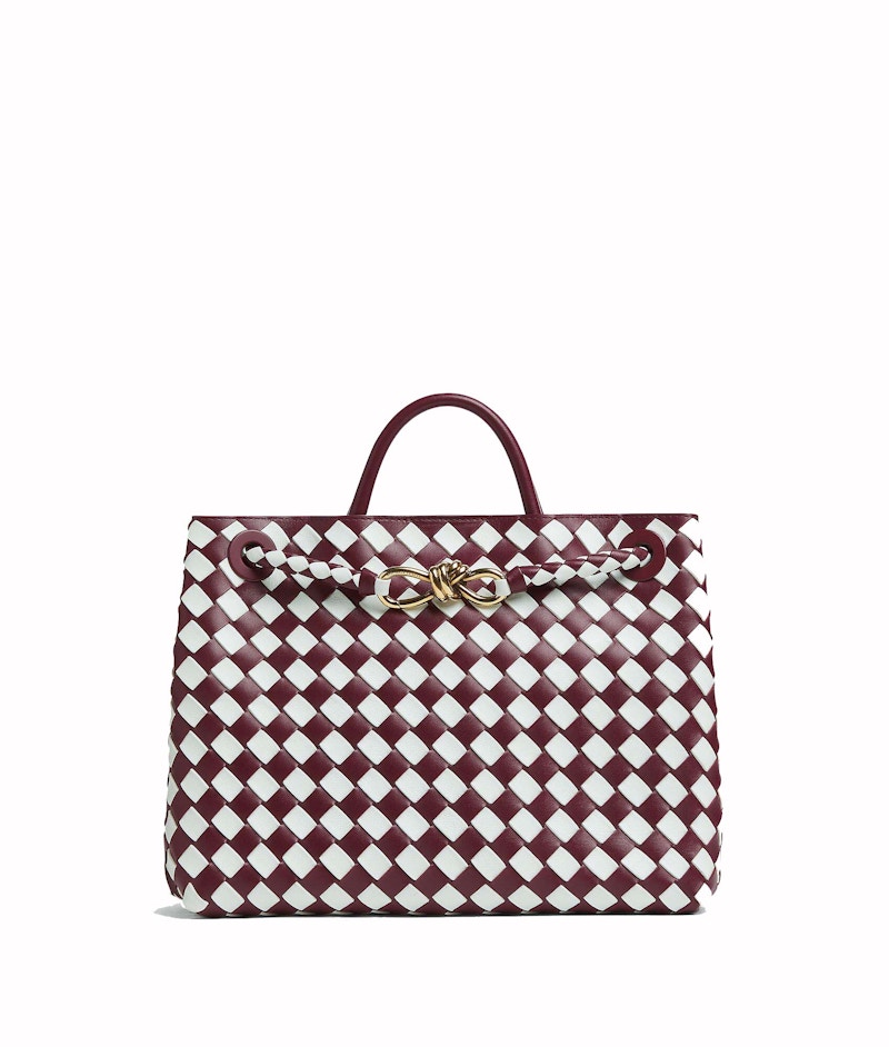 Bottega Veneta Medium Andiamo Bag Barolo/Glacier