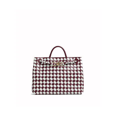 Bottega Veneta Medium Andiamo Bag Barolo/Glacier