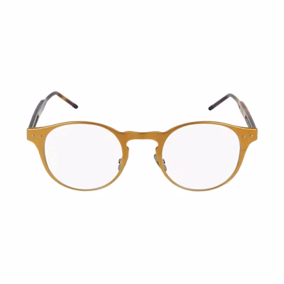 Bottega Veneta Round-Frame Aluminium Sunglasses Bronze/Havana/Transparent (BV0180O-30002475-003)