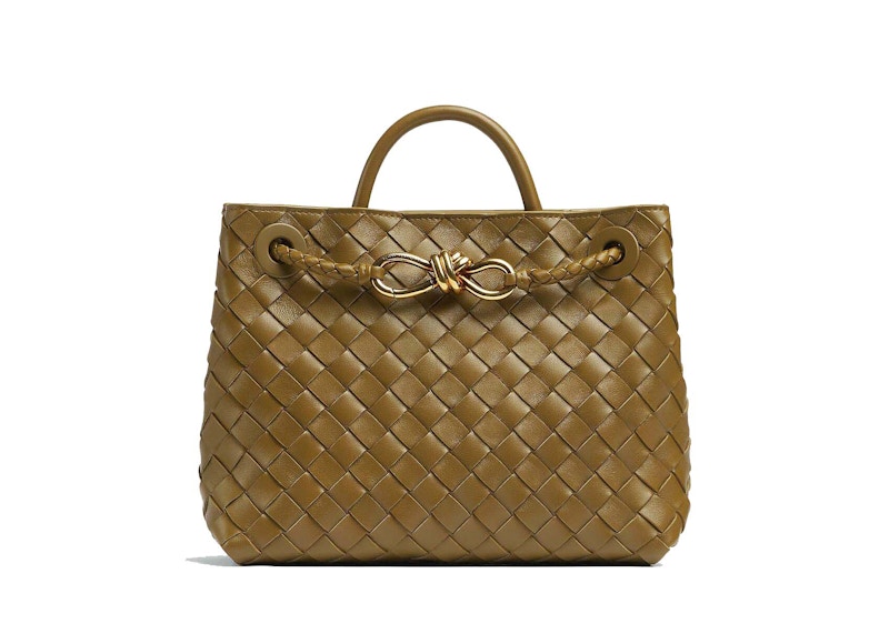 Bottega Veneta Small Andiamo Acorn