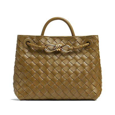 Bottega Veneta Small Andiamo Acorn