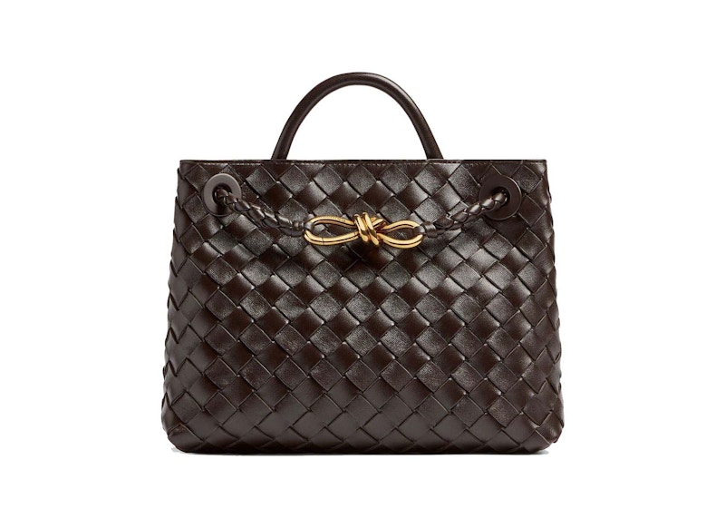 Bottega Veneta Small Andiamo Fondant