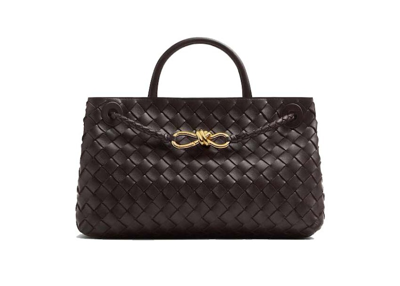 Bottega Veneta Small East/West Andiamo Fondant