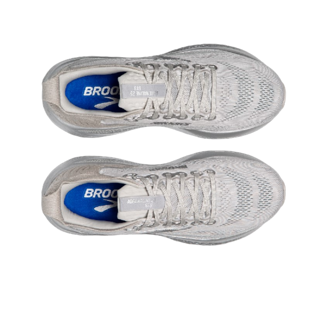 Order Brooks Adrenaline GTS 25 ''Edisi 25 Tahun - Silver'' 110454-1D-184
