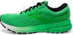 브룩스 고스트 13 '그린' (Brooks Ghost 13 'Green') 110348-1D-340