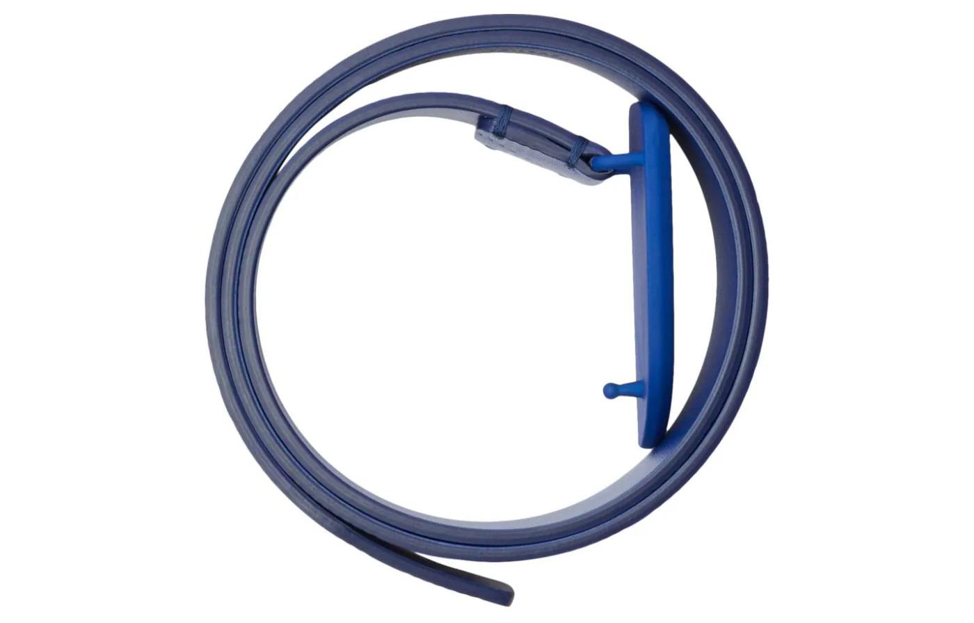 Lookbook Burberry  Blue Leather Belt with Pattern Print and Smooth Buckle. 8081100