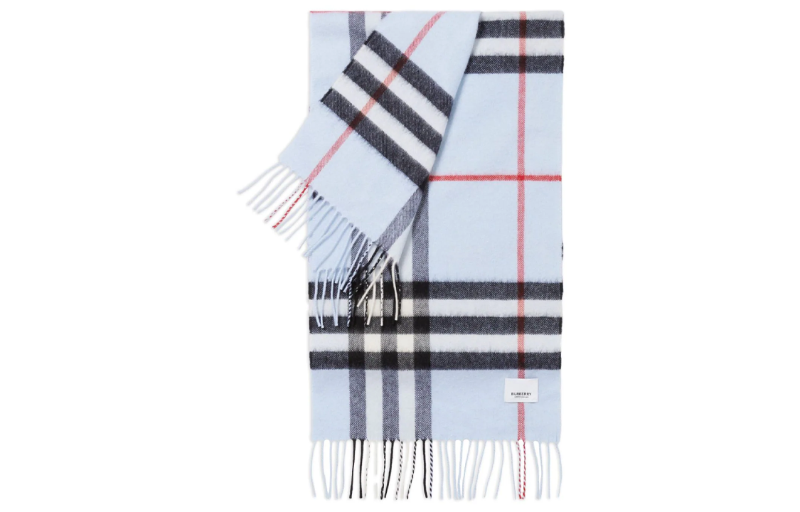 Burberry  Blue Printed Knit Scarf 8077882A1397