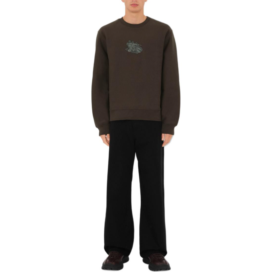 Lookbook Burberry  Brown Logo Print Crewneck Long Sleeve Sweatshirt. 80995461