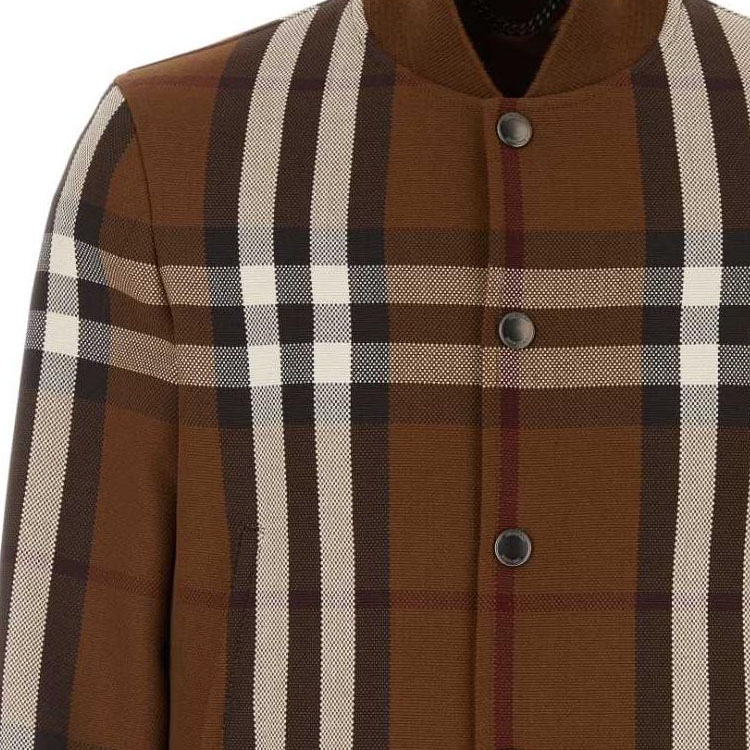 Details for 博柏利 棕色条纹单排扣长袖夹克 80706111