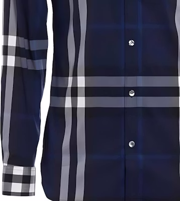 Burberry Check Print Long Sleeve Button-Up Shirt Blue White 80733991 Cheap Burberry Check Print Long Sleeve Button-Up Shirt Blue White 80733991