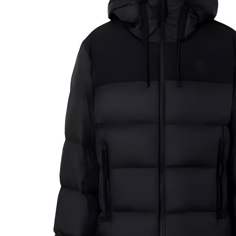 Purchase バーバリー カラーブロック ロゴ フード付き ダウンジャケット 80616601