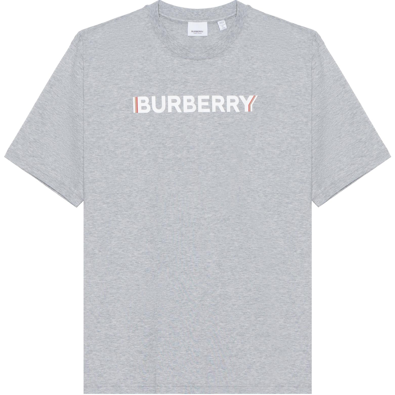 Burberry  Gray Letter Print Cotton Oversized T-Shirt 80530121