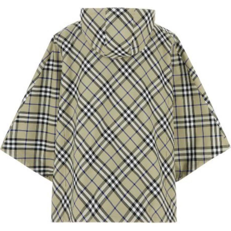 Lookbook Burberry  Green Embroidered Striped Hooded Pullover Jacket. 80957091