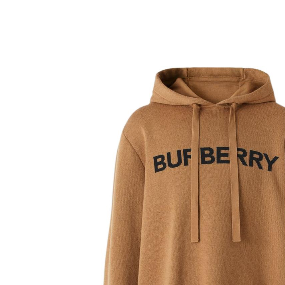 Burberry  Logo Embroidered Hoodie Brown 80636571 圖 6