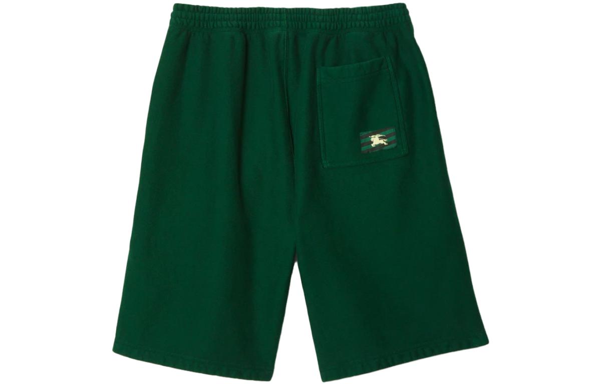 Lookbook Burberry  Solid Logo Elastic Waist Casual Shorts Green. 80812321