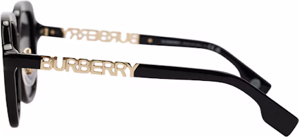 Shop Burberry Acetate Square Sunglasses Unisex Couple Style Logo Series. 4389F