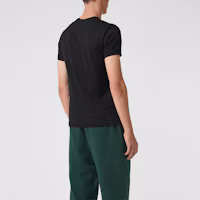 Purchase Camiseta Negra Burberry de Cuello V con Estampado de Caballo. 80038321