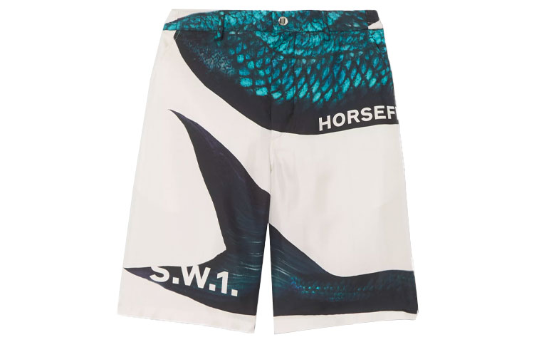 Burberry Blue White Letter Logo Print Shorts with Zipper Side Pockets. 45672461 圖 2