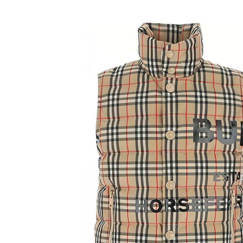 Details for バーバリー ブラウンチェック シングルブレスト ノースリーブ ダウンベスト 80236731