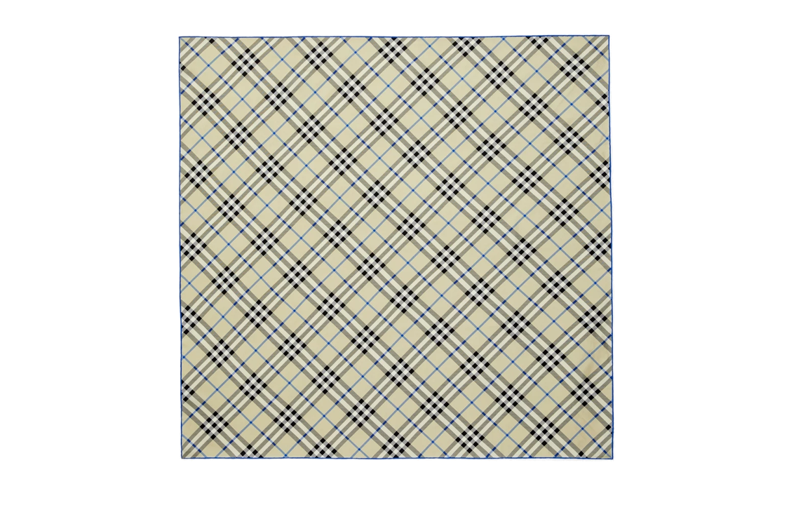 Burberry Check Design Scarf Unisex Couple Style in Teal. 80881411