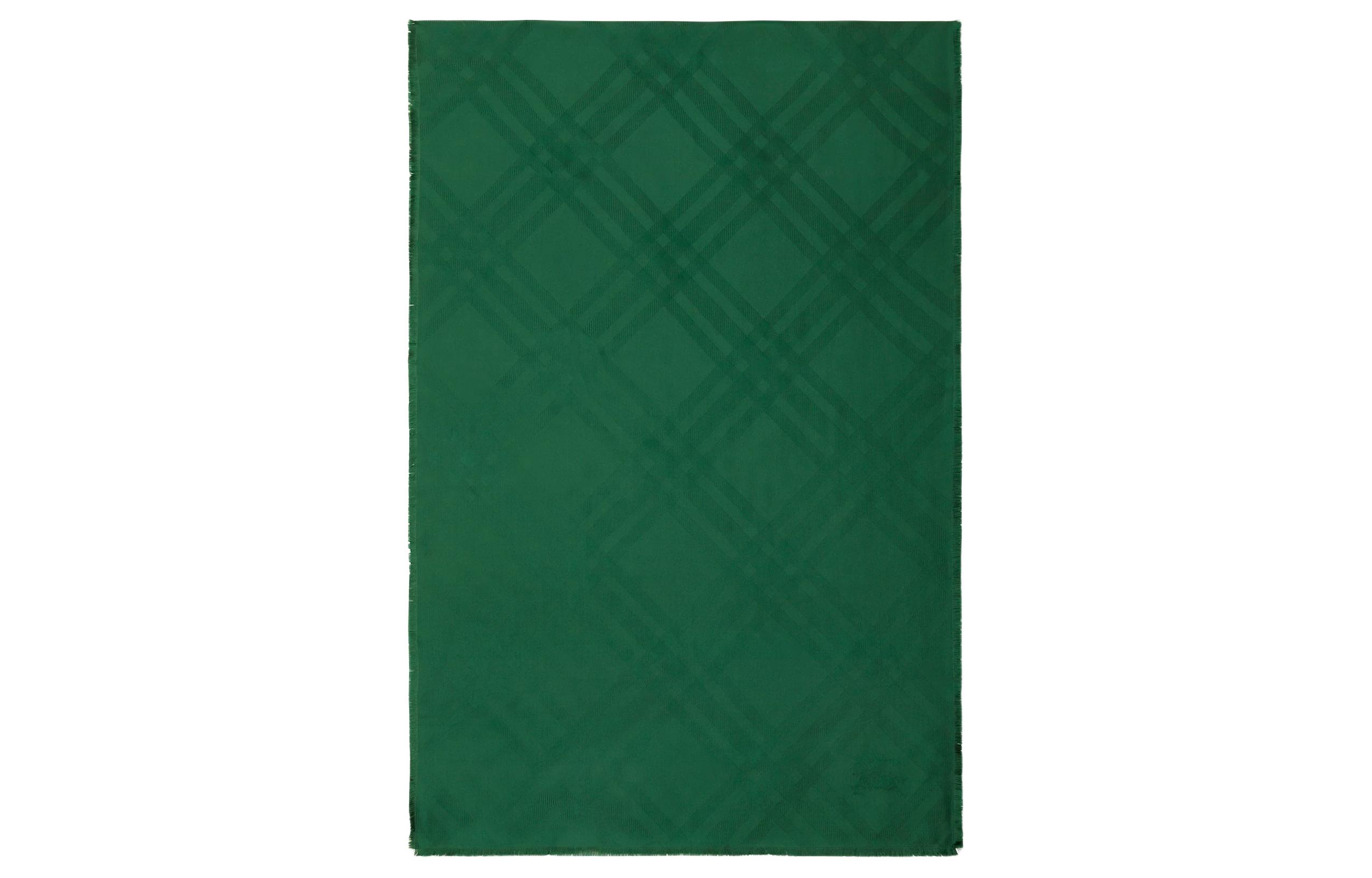 Burberry Check Detail Scarf Green Unisex Couple Style. 80858141