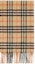 Order Burberry Classic Check Cashmere Scarf Kids Beige 8089369