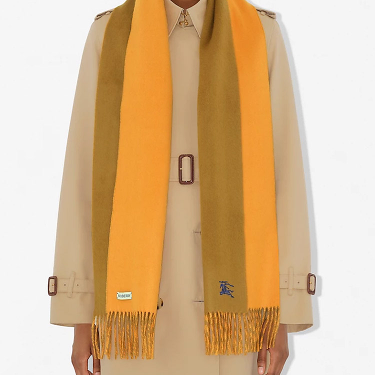 Burberry EKD Embroidered Cashmere Scarf Unisex in Brown Yellow. 80996921 圖 5