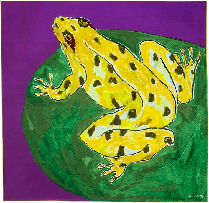 burberry-frog-pattern-silk-scarf-unisex-couple-style-various-colors-80798721