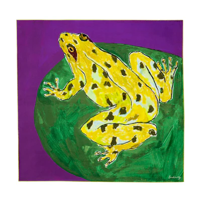 Burberry Frog Pattern Silk Scarf Unisex Couple Style - Various Colors. 80798721