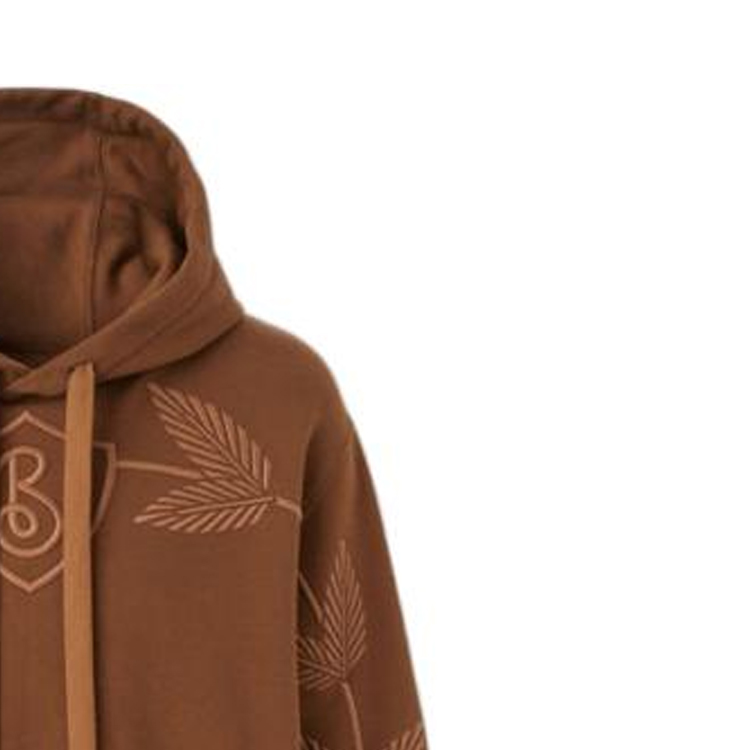 Cheap Burberry FW22  Dark Brown Logo Floral Embroidered Pullover Sweatshirt 80632001