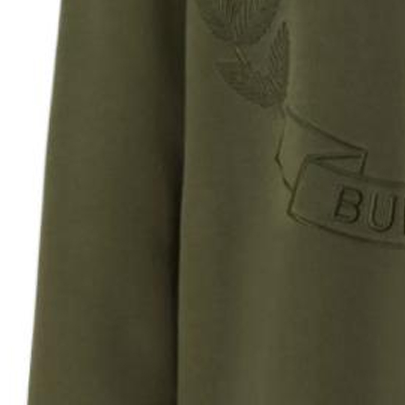 Sizing Burberry FW22 Green Embroidered Oak Leaf Pullover Sweatshirt for Men. 80612861