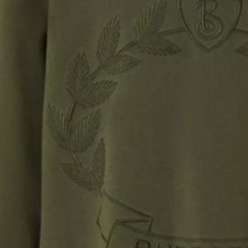 Cheap Burberry FW22 Green Embroidered Oak Leaf Pullover Sweatshirt for Men. 80612861