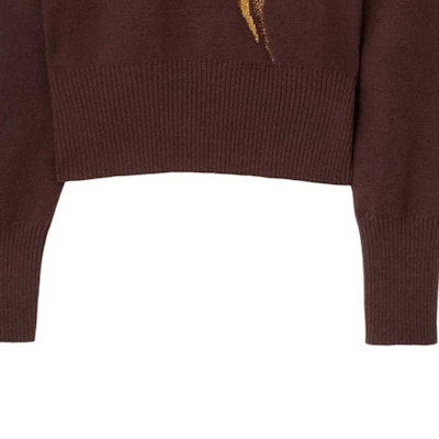 Burberry 2023秋冬玫瑰毛衣巧克力棕色针织款 80758271 Sizing Burberry 2023秋冬玫瑰毛衣巧克力棕色针织款 80758271