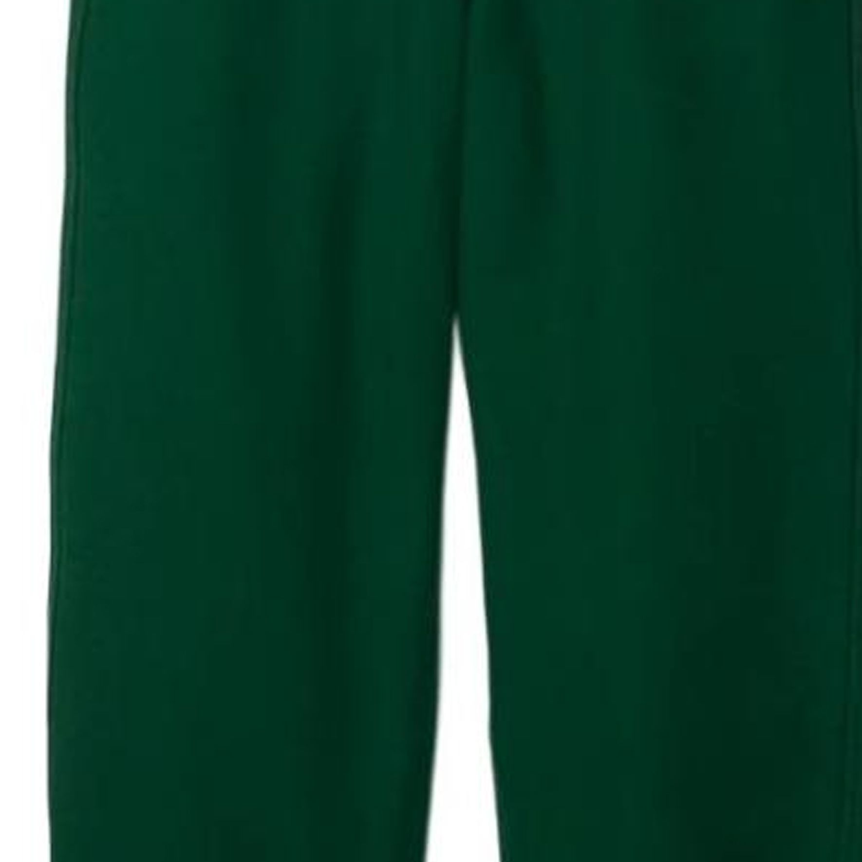 Details for Burberry FW23 Pantalones Jogger Tejidos Color Sólido Verde Hiedra. 80854061