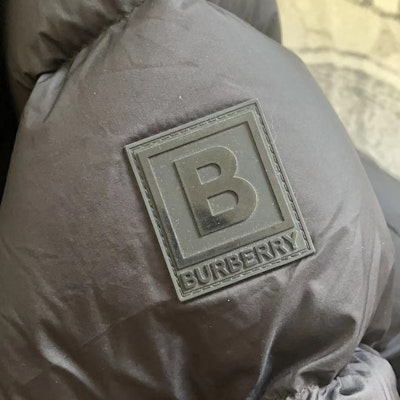 Burberry FW23 Solid Color Logo Hooded Long Sleeve Down Jacket 80685101 2