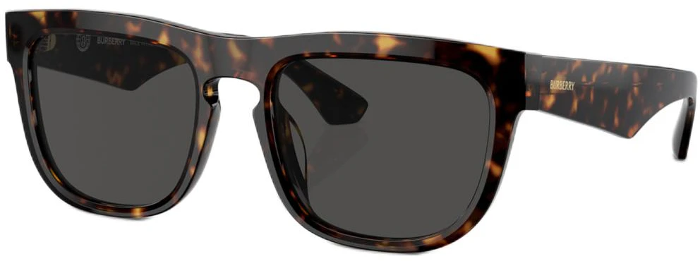 burberry-logo-square-acetate-sunglasses-for-men-in-tortoiseshell-be-4431-u