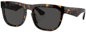 Order Burberry Logo Square Acetate Sunglasses for Men in Tortoiseshell. BE4431U