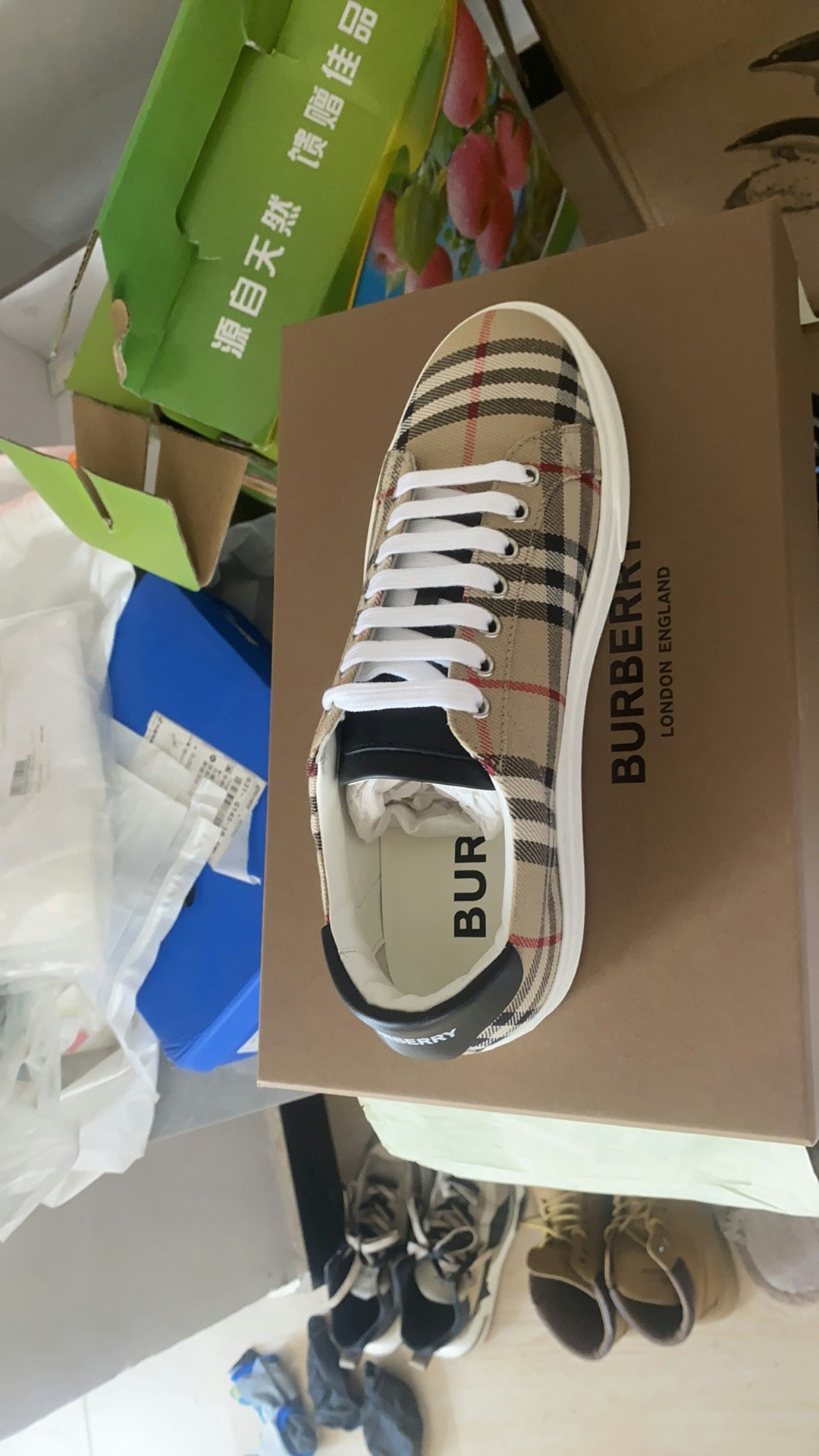 burberry-plaid-casual-shoes-brown-8038185