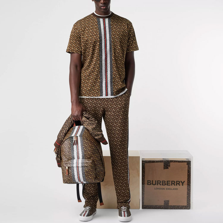 Burberry Saddle Brown Striped Print Crewneck T-Shirt 80182391 圖 4