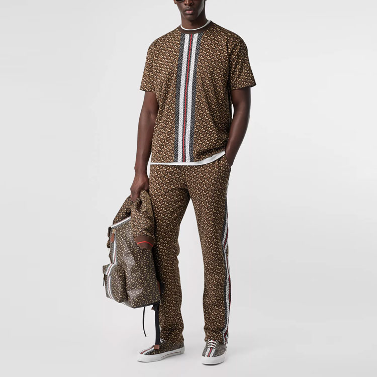 Burberry Saddle Brown Striped Print Crewneck T-Shirt 80182391 圖 5